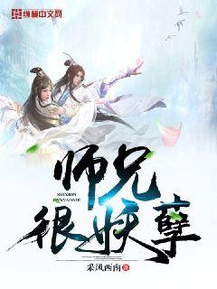 会穿越的佣兵