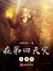 三国之卦帝刘封