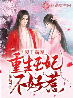 权臣的黑莲花