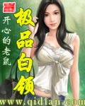 红楼之纵横四海
