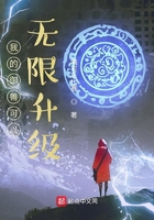 使徒化从海贼开始