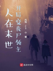 大宋铁甲军