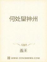 办公室极乐宝鉴