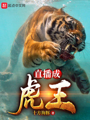 民国谍影（谍影风云）