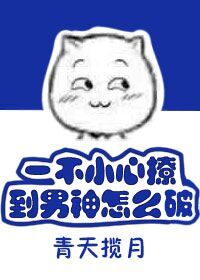 虎婿归来