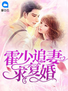 海贼之召唤悍妹