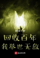 最佳女婿（最佳赘婿（林羽江颜））